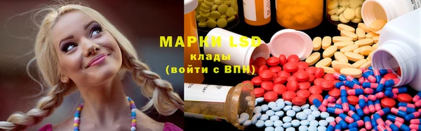 ГАЛЛЮЦИНОГЕННЫЕ ГРИБЫ Аркадак