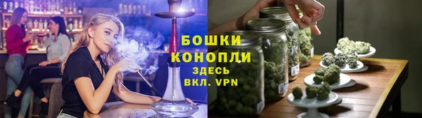 ГАЛЛЮЦИНОГЕННЫЕ ГРИБЫ Аркадак