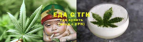 ГАЛЛЮЦИНОГЕННЫЕ ГРИБЫ Аркадак
