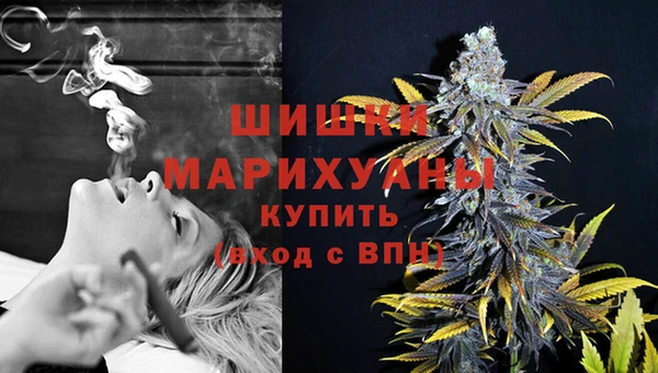 прущие грибы Богородск