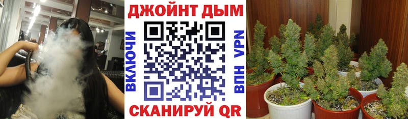 Каннабис планчик Курганинск